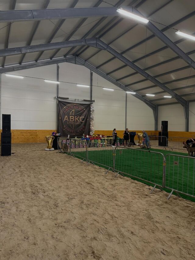 ABKC Amber Show | Augustów